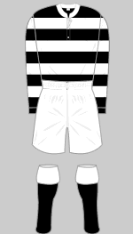 ayr united 1931